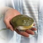 Ręcznie robione etui ochronne na słuchawki bezprzewodowe Ugly Frog do AirPods 4/Pro 3, etui z motywem dziwnej ropuchy, kompatybilne etui z motywem zwierząt, miękkie, odporne na zarysowania ochraniacze, wyjątkowy prezent - obrazek 5